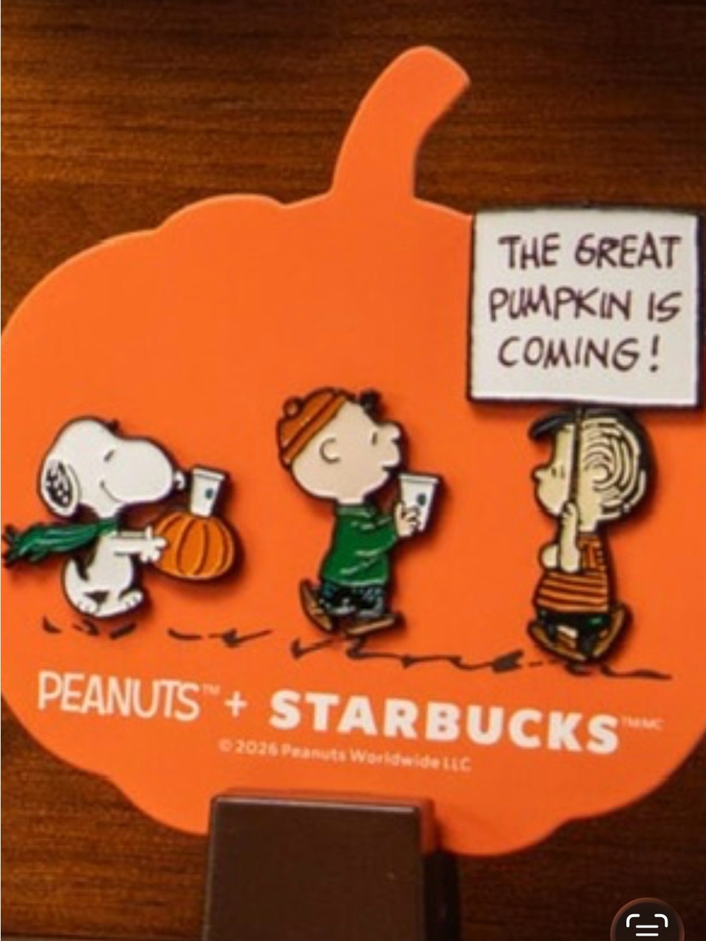 Starbucks x Peanuts Orange Pumpkin Halloween Pin Set